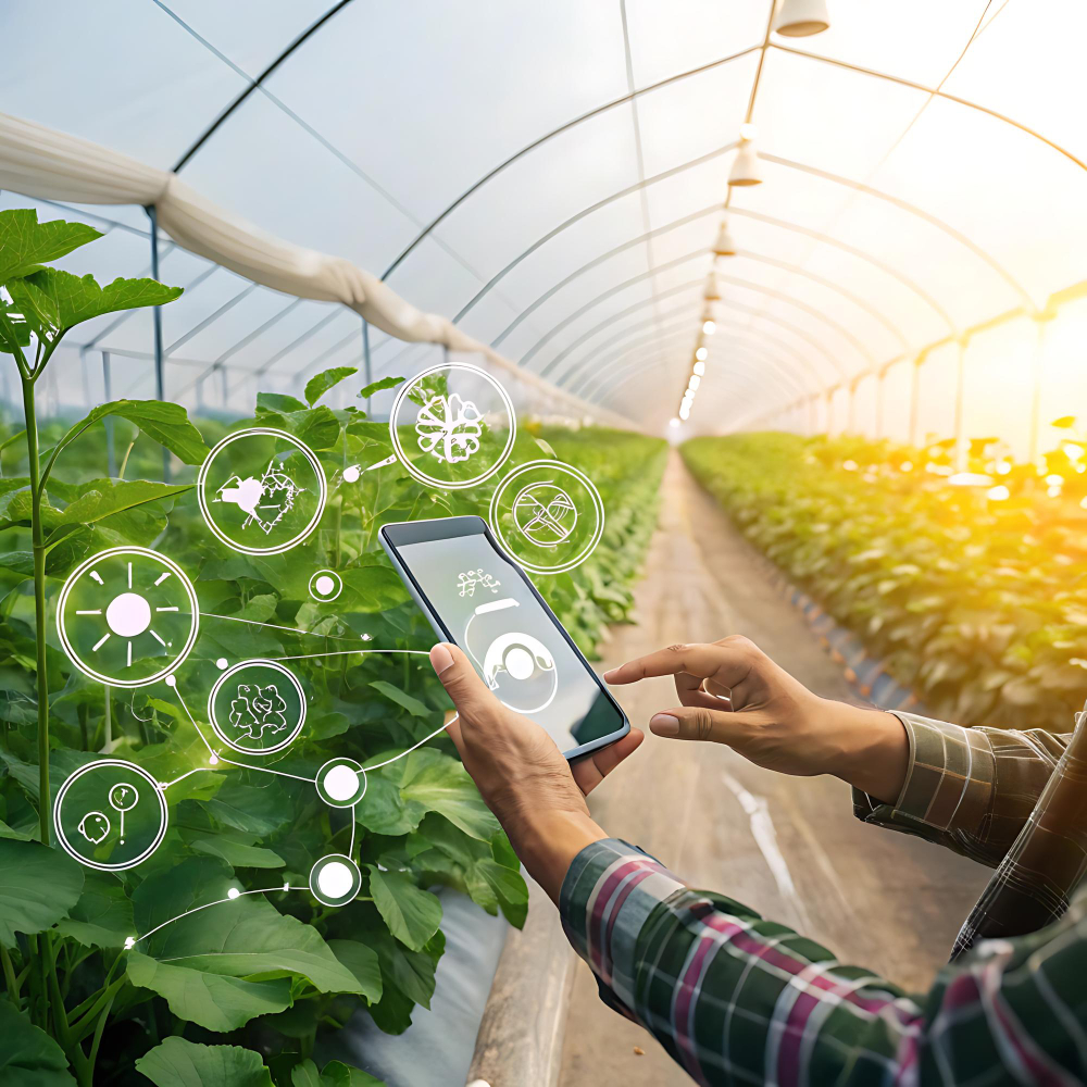 Digital Marketing Growth